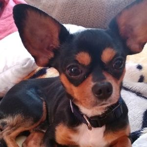 Meet your Posher, Candace